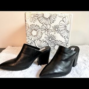 New Steve Madden Savina Western Leather Mule Heel